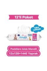 Paddlers Islak Mendil 120 x 12 li Koli (1440Yaprak)