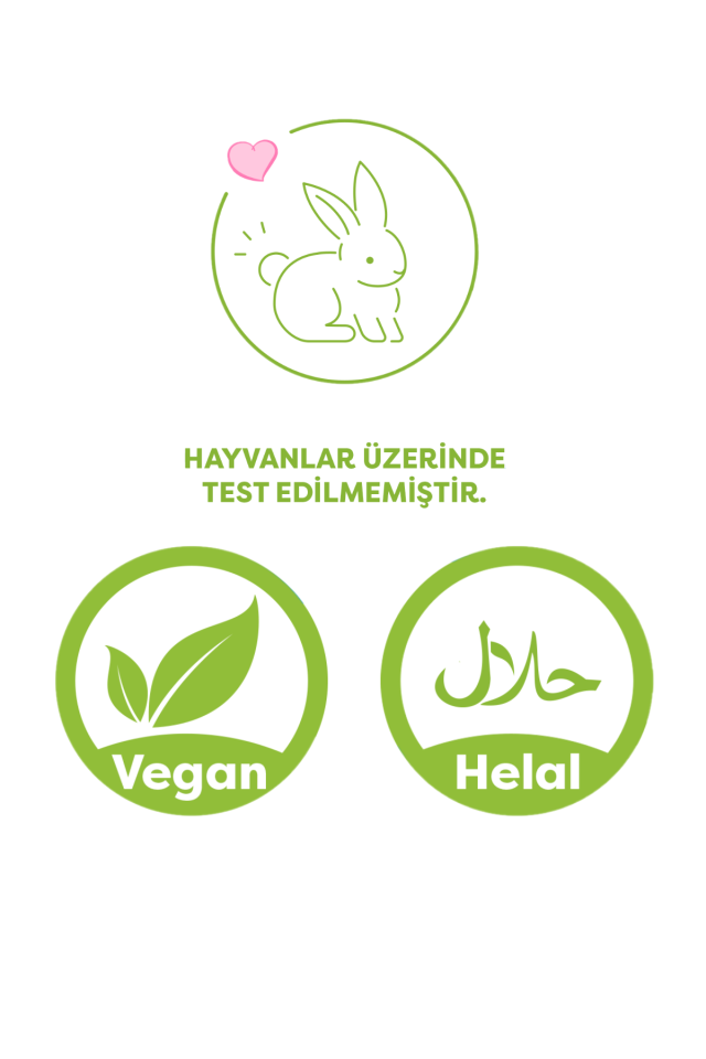 Paddlers Islak Mendil 24x72 li Koli (1728 Yaprak)