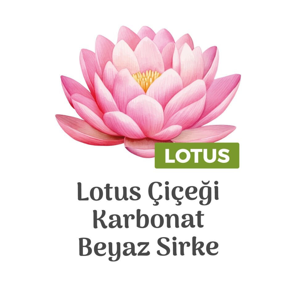 Paddlers Easy Clean Lotus Çiçeği Yüzey Temizlik Havlusu 6x100 (600 Yaprak)