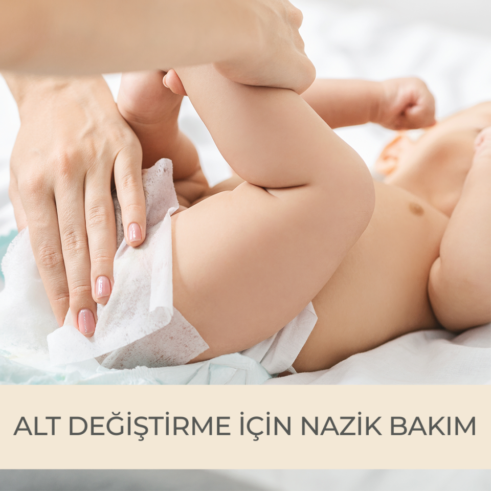 Paddlers Protection Islak Havlu 12x120 li Koli (1440 Yaprak)