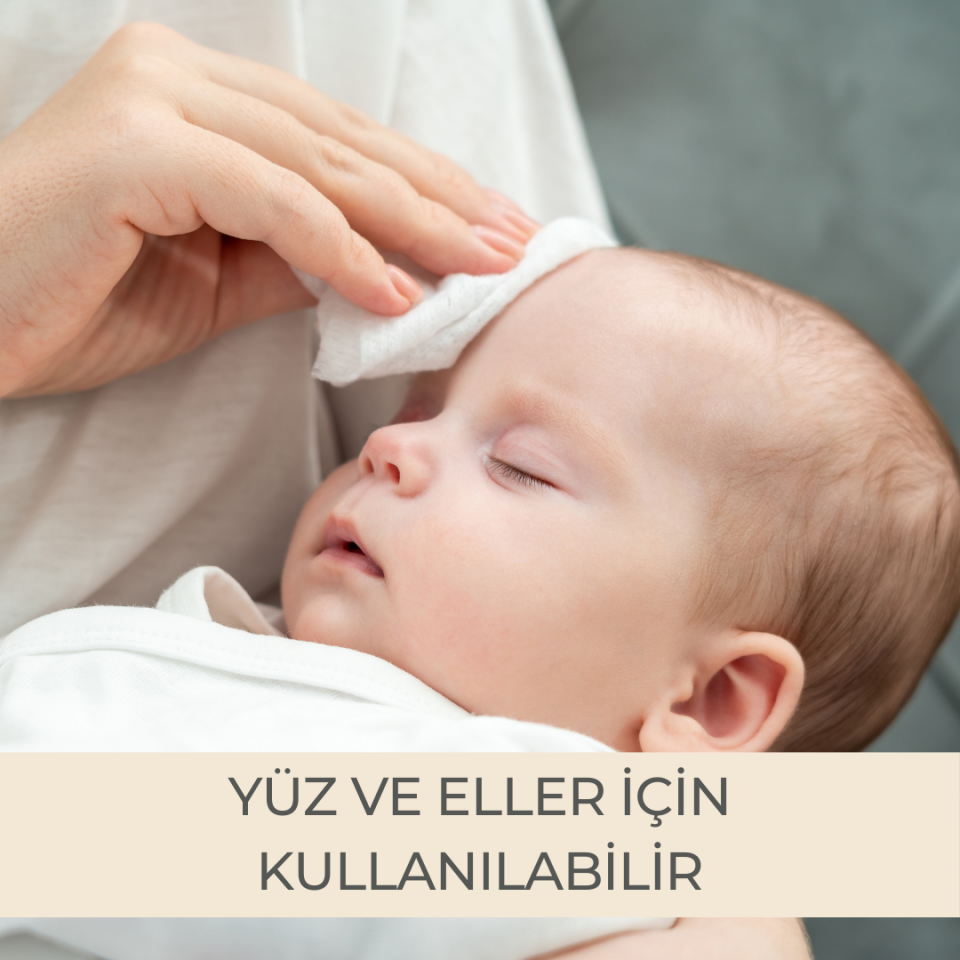 Paddlers Protection Islak Havlu 12x120 li Koli (1440 Yaprak)